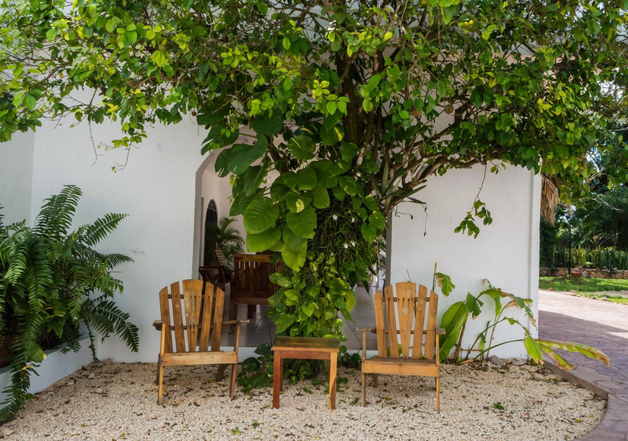Hotel Boutique Casa Xaan Valladolid  Zewnętrze zdjęcie