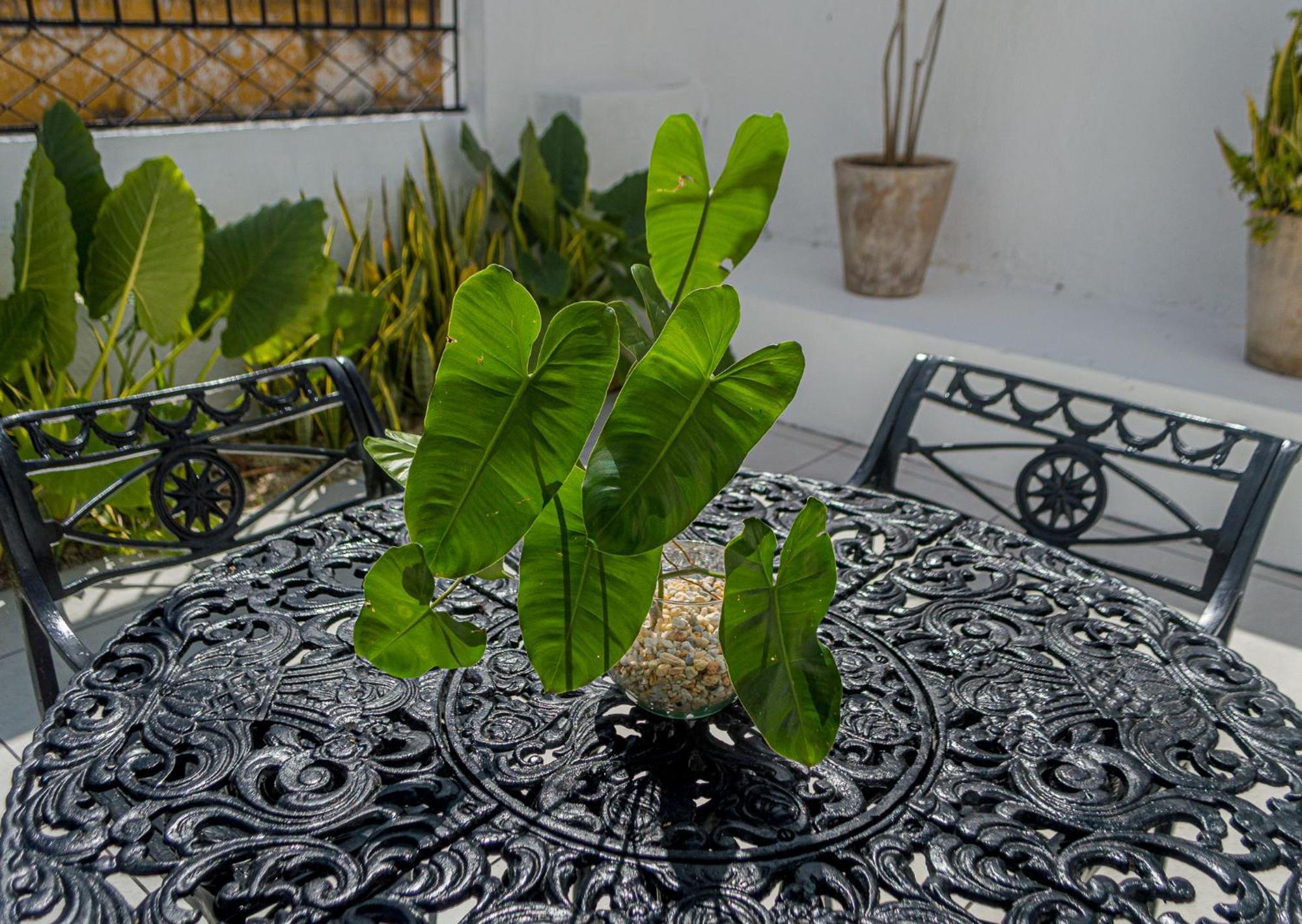 Hotel Boutique Casa Xaan Valladolid  Zewnętrze zdjęcie
